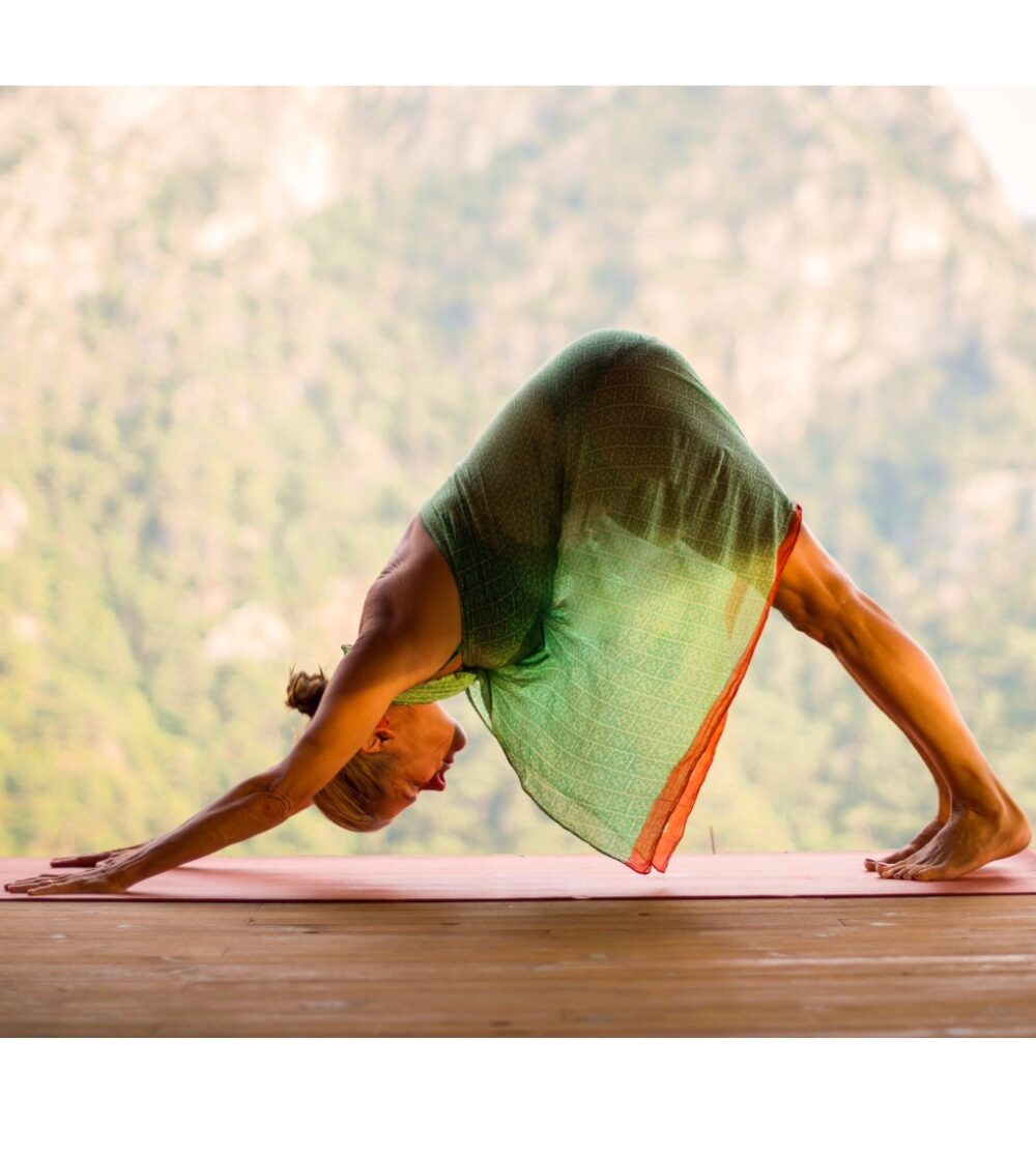 Yoga Retreats with Elisa Williams
