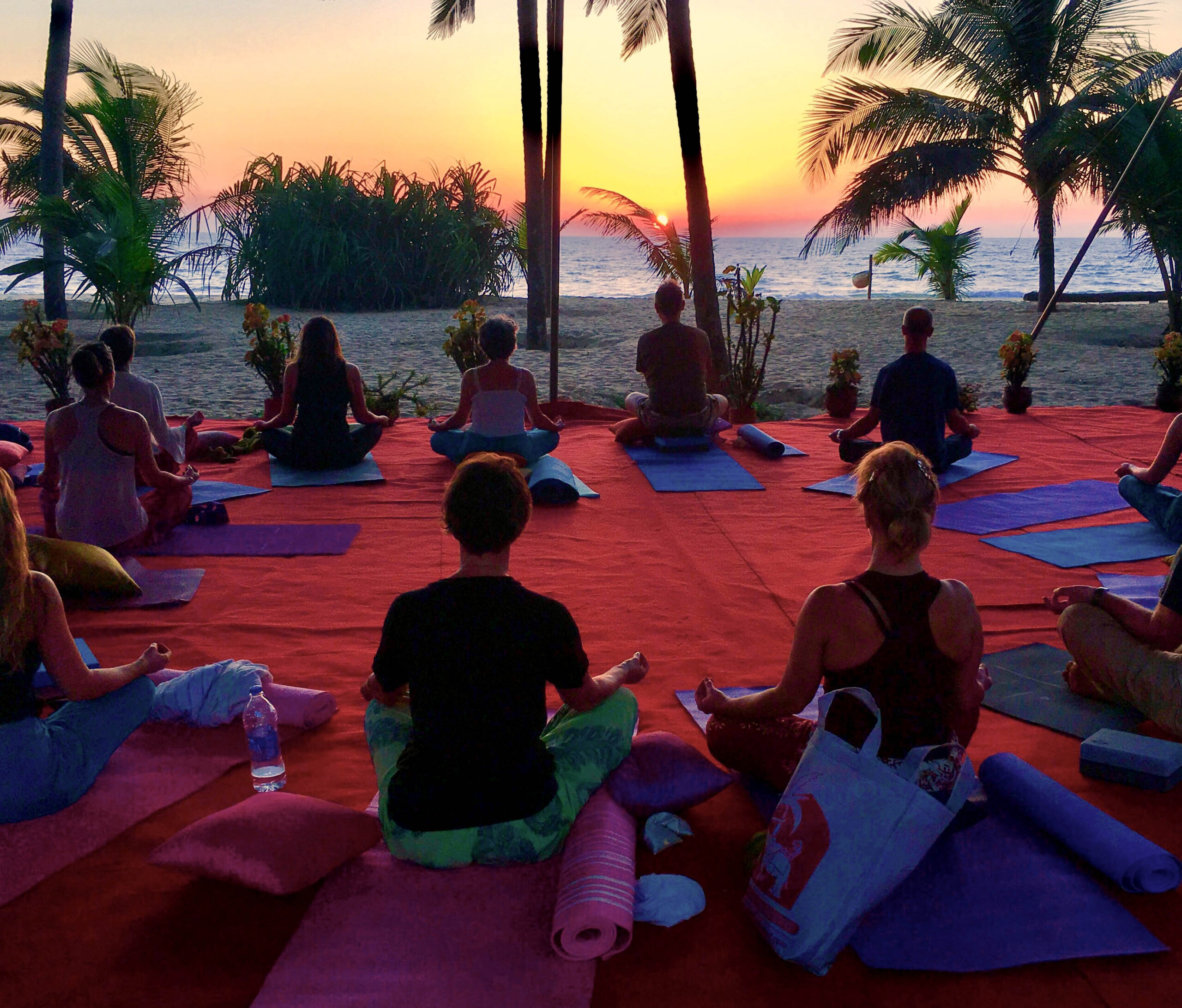 Elisa Williams Yoga retreats in Kerala